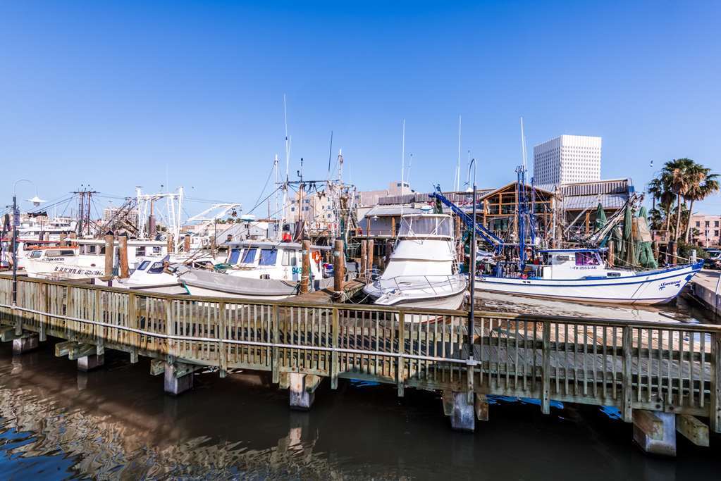 Motel Harbor House And Marina